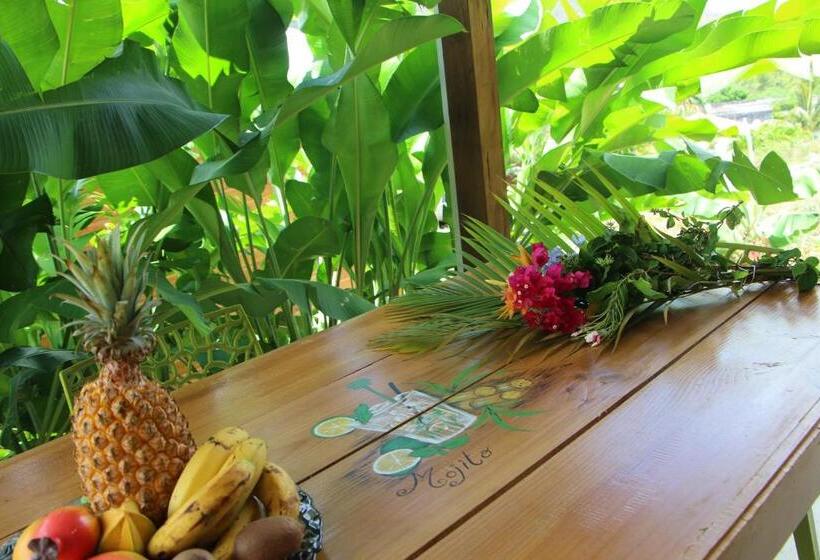 بنسيون Amour Deshaies