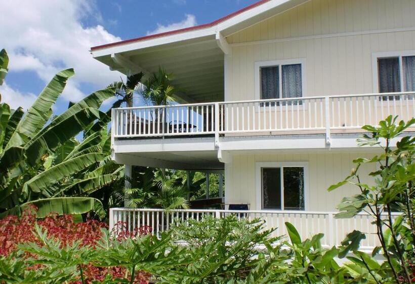 پانسیون Bears  Place Guest House