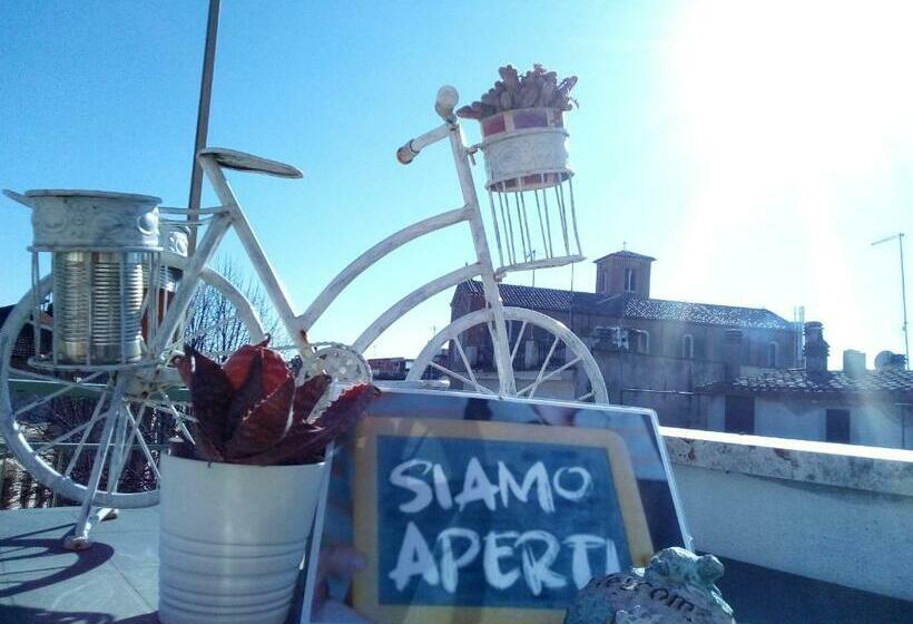 פנסיון Jerry & Titty House