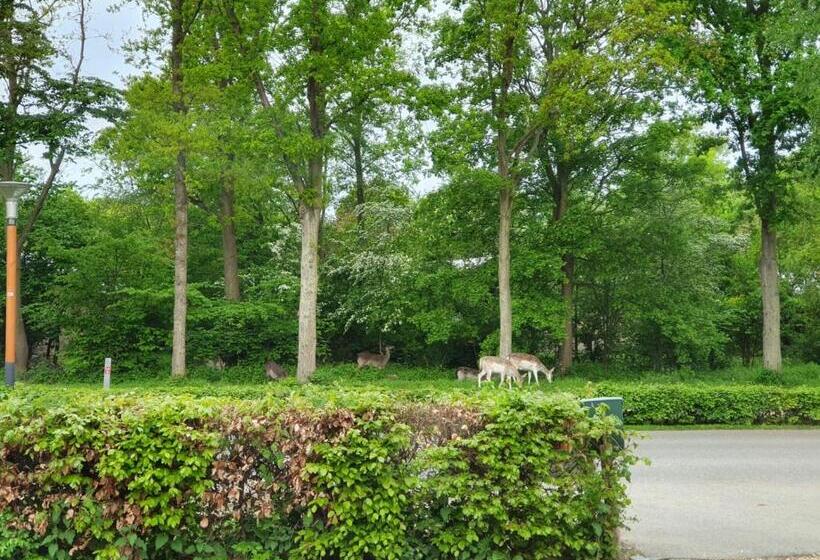 B&b Dennenbos