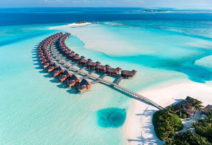 Anantara Dhigu Maldives Resort   Complimentary Round Trip Transportation For Minimum Stay Of 3 Night