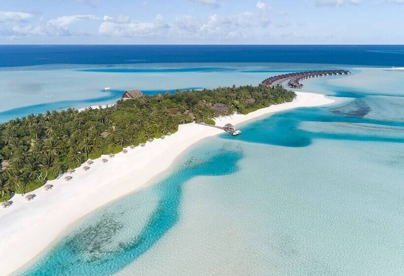 Anantara Dhigu Maldives Resort   Complimentary Round Trip Transportation For Minimum Stay Of 3 Night