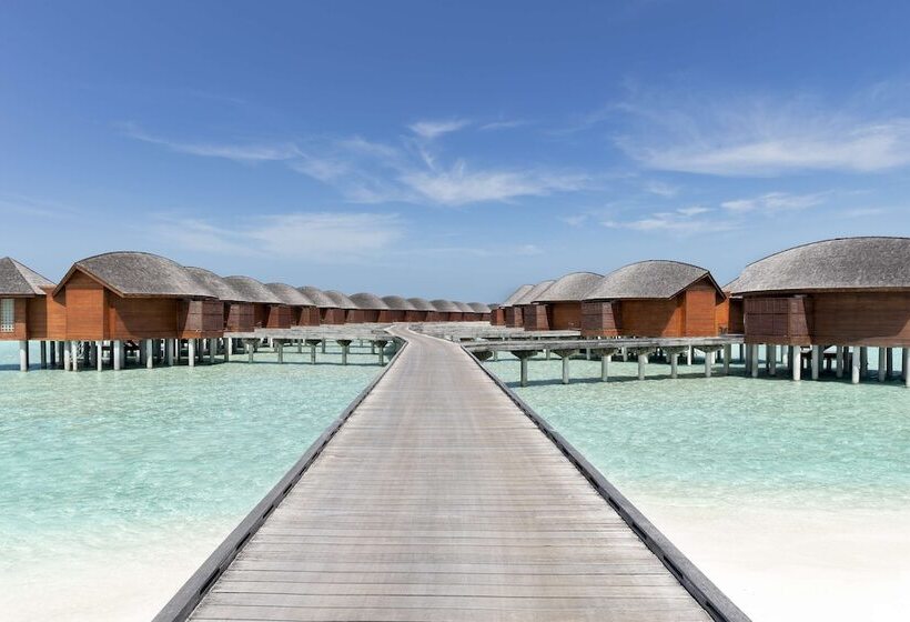 Anantara Dhigu Maldives Resort   Complimentary Round Trip Transportation For Minimum Stay Of 3 Night