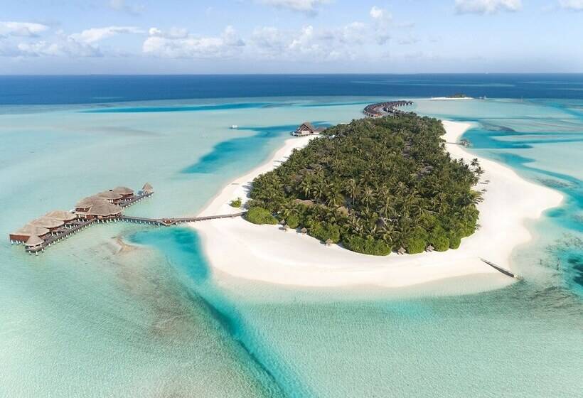 Anantara Dhigu Maldives Resort   Complimentary Round Trip Transportation For Minimum Stay Of 3 Night