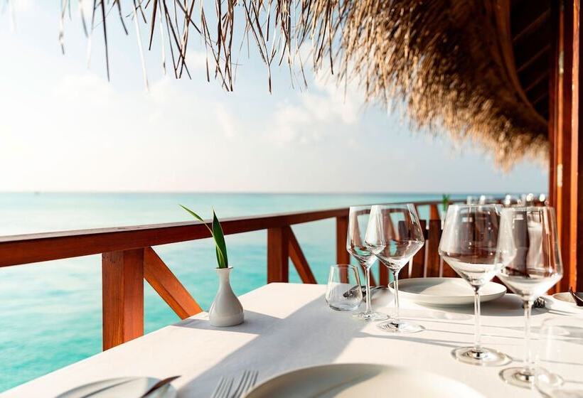 Anantara Dhigu Maldives Resort   Complimentary Round Trip Transportation For Minimum Stay Of 3 Night