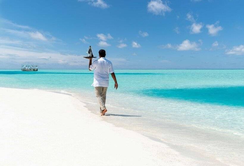 Anantara Dhigu Maldives Resort   Complimentary Round Trip Transportation For Minimum Stay Of 3 Night