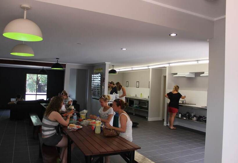 Base Airlie Beach Resort   Hostel