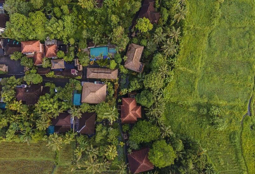 هتل Alam Jiwa Ubud