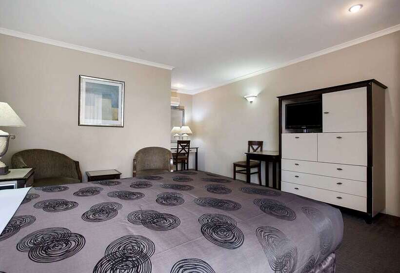 Hotel Comfort Inn On Raglan