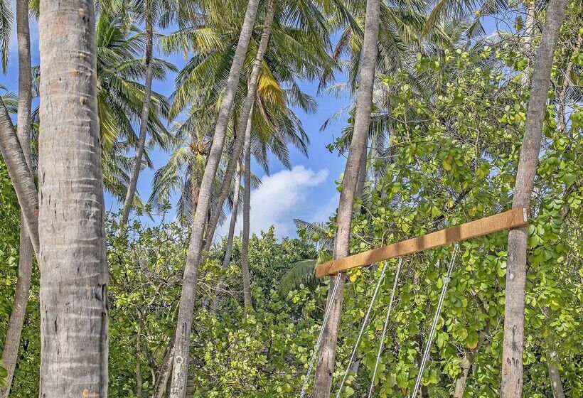 هتل Naladhu Private Island Maldives   Special Offer On Transfer Rates For Summer 2024