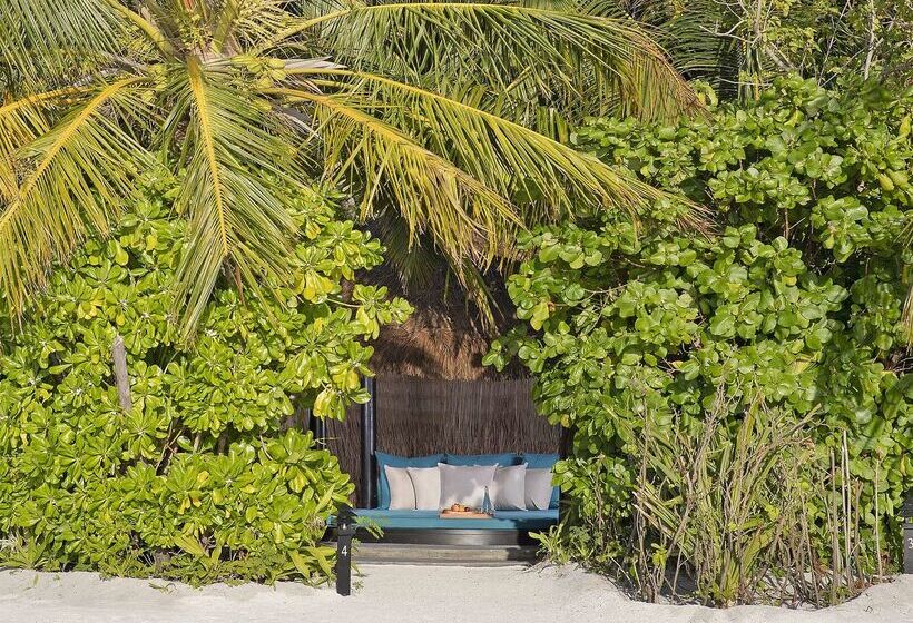 هتل Naladhu Private Island Maldives   Special Offer On Transfer Rates For Summer 2024