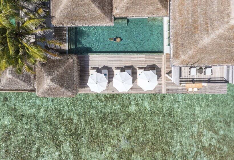 هتل Naladhu Private Island Maldives   Special Offer On Transfer Rates For Summer 2024
