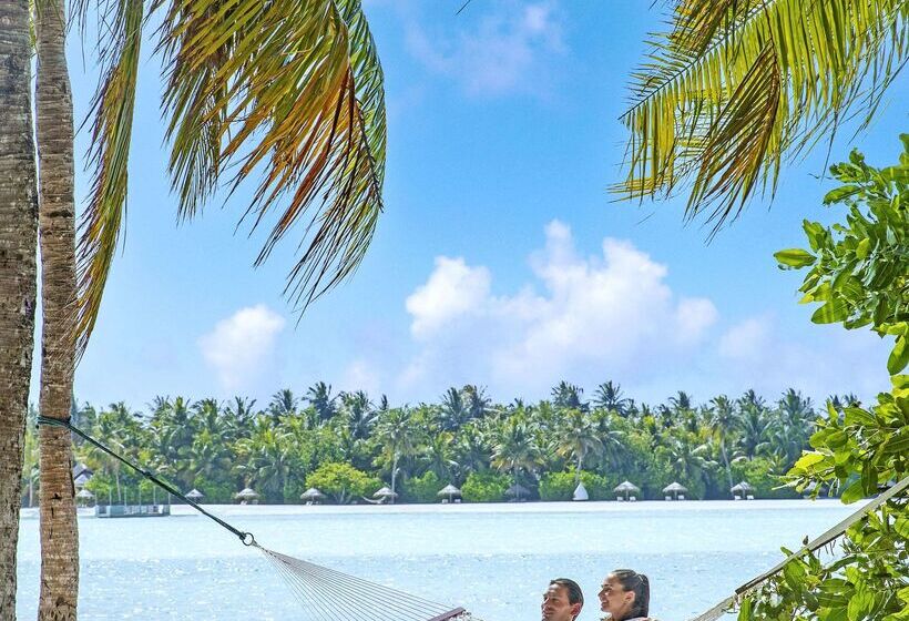 هتل Naladhu Private Island Maldives   Special Offer On Transfer Rates For Summer 2024