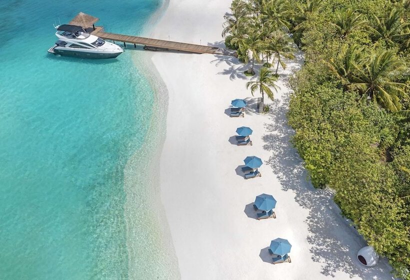هتل Naladhu Private Island Maldives   Special Offer On Transfer Rates For Summer 2024