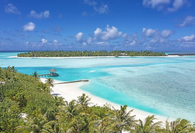 هتل Naladhu Private Island Maldives   Special Offer On Transfer Rates For Summer 2024