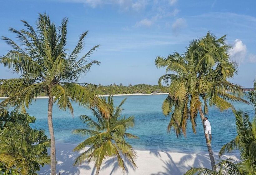 هتل Naladhu Private Island Maldives   Special Offer On Transfer Rates For Summer 2024