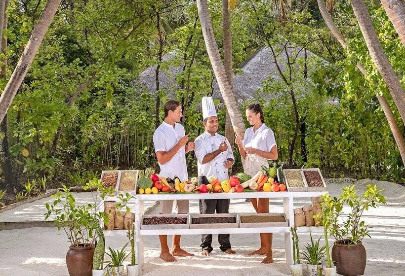 هتل Naladhu Private Island Maldives   Special Offer On Transfer Rates For Summer 2024