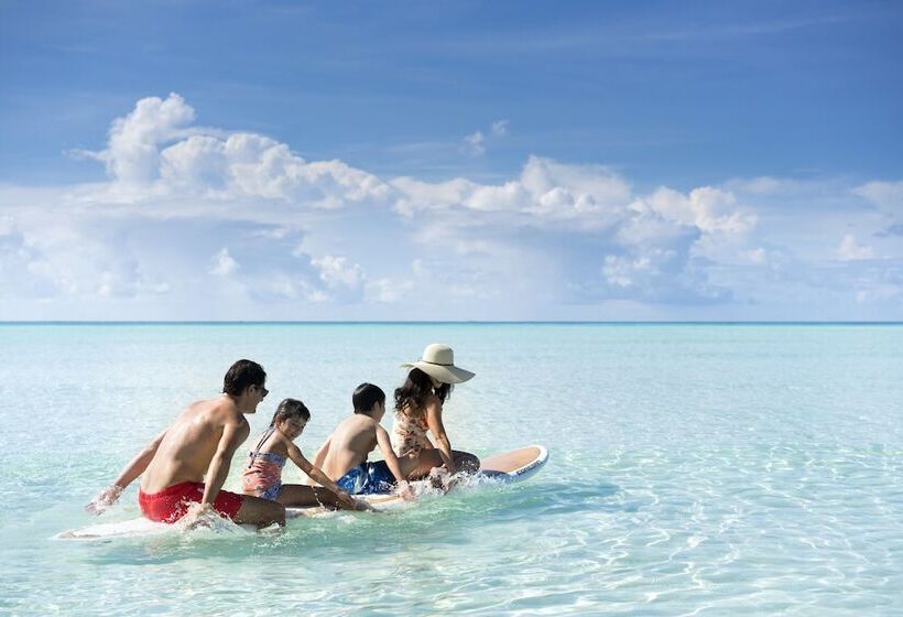 هتل Naladhu Private Island Maldives   Special Offer On Transfer Rates For Summer 2024
