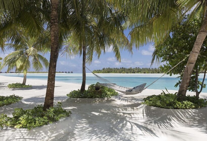 هتل Naladhu Private Island Maldives   Special Offer On Transfer Rates For Summer 2024