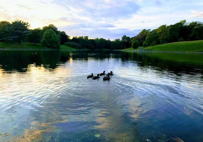 هتل Sefton Park