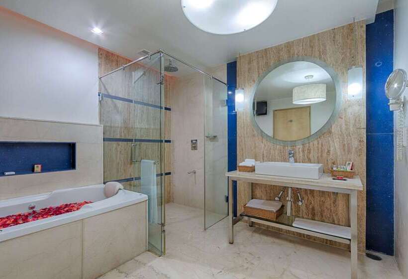 Quality Hotel Dv Manor