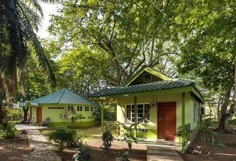 استراحتگاه Midas Belize