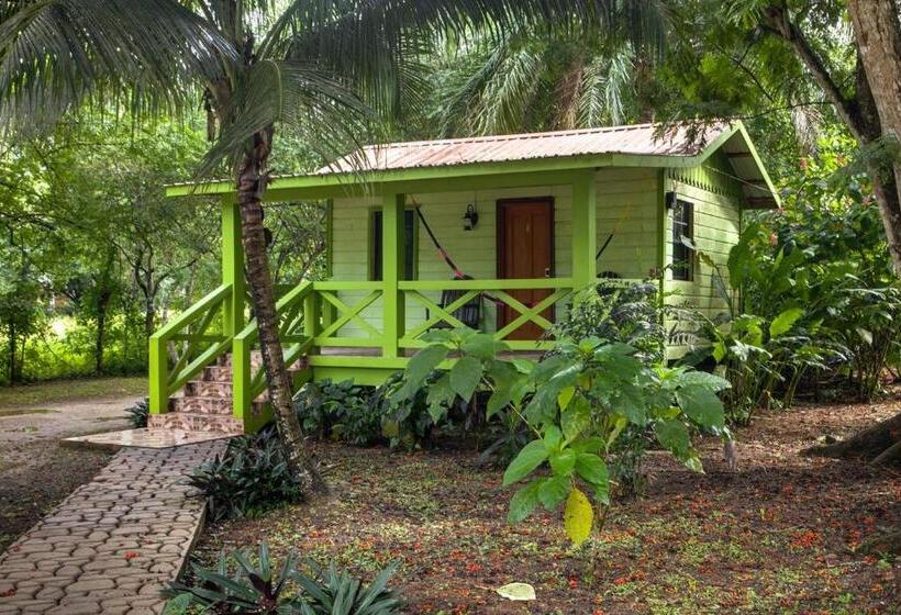استراحتگاه Midas Belize