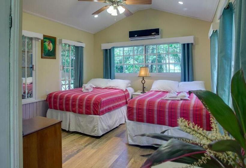 استراحتگاه Midas Belize