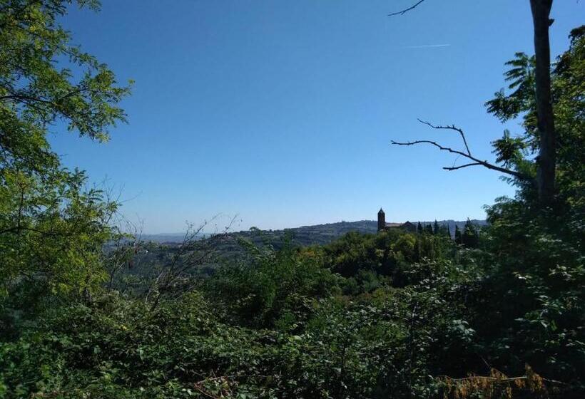 مبيت وإفطار Cara Pace In Collina Per Famiglie