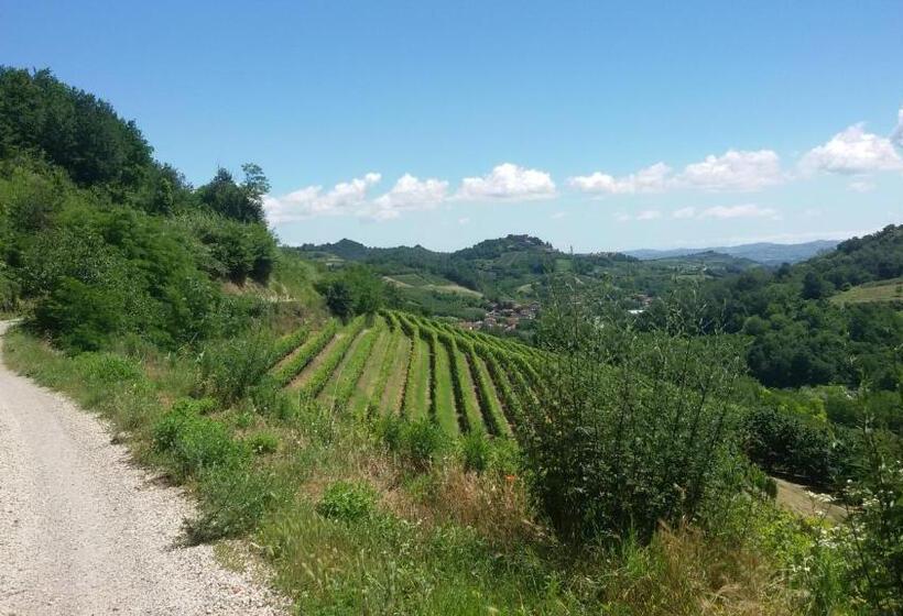 ベッドアンドブレックファースト La Collina Dei Passeri