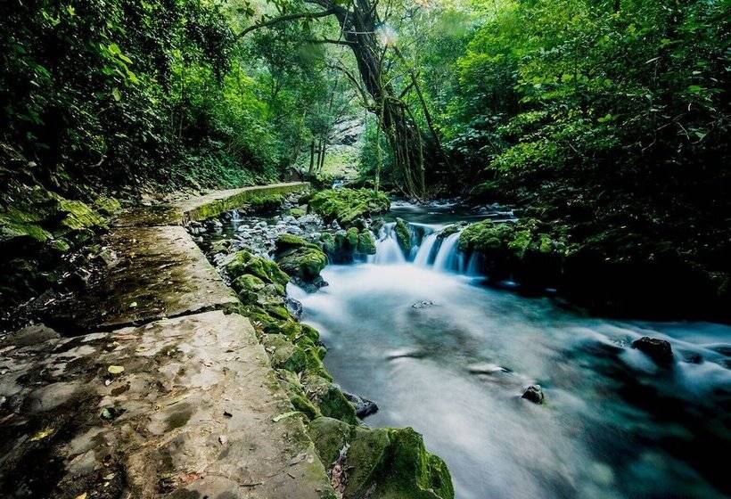 هتل Posada Onix Xilitla