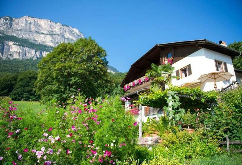 هاستل Gasthof Wieser