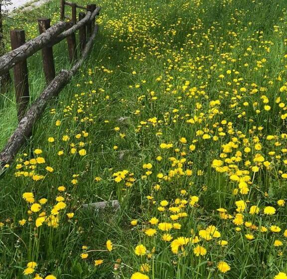 住宿加早餐  Ca  Moretti