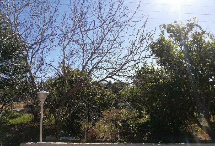 تختخواب و صبحانه Capinera