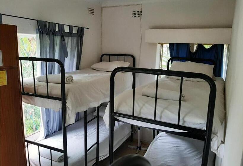 פנסיון Elephant Walk Guesthouse And Back Packers