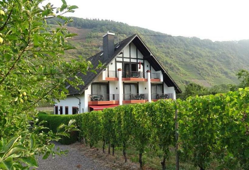 بنسيون Haus Weingarten Appartements Zimmer