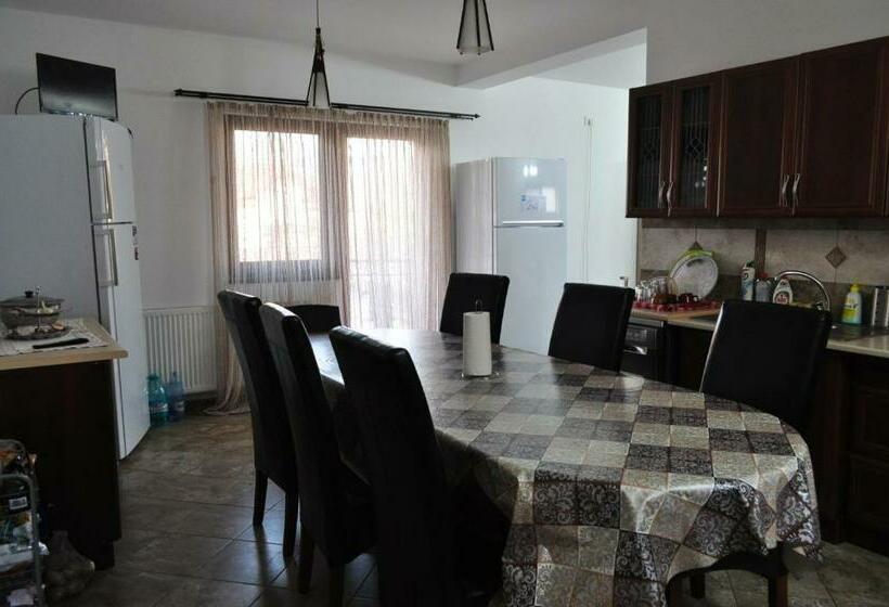 بنسيون Vila Teoharie