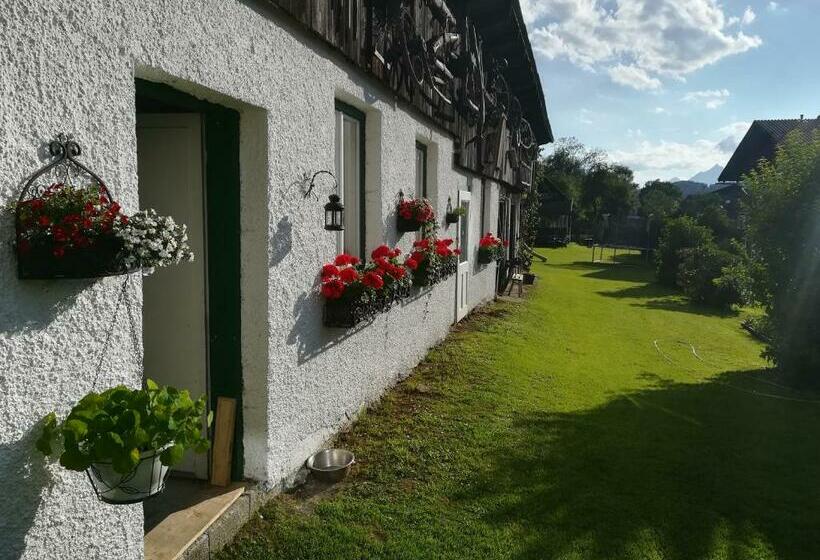 Bed and Breakfast Haus Elisabeth