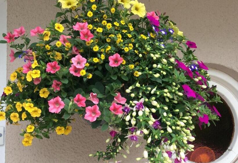 بنسيون The Firs At Hay On Wye B&b