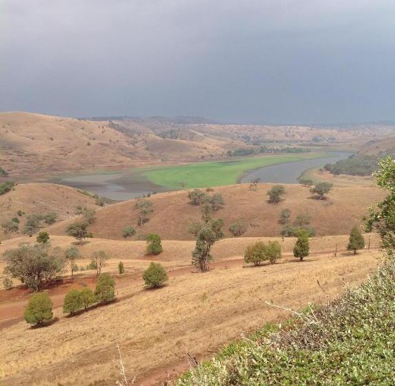 Amazing Views Pet Friendly Bed And Breakfast