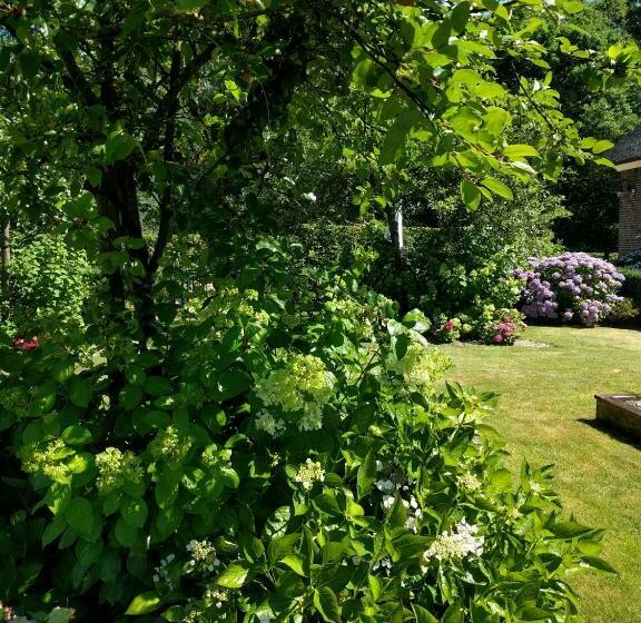 B&b Agnetenhoeve