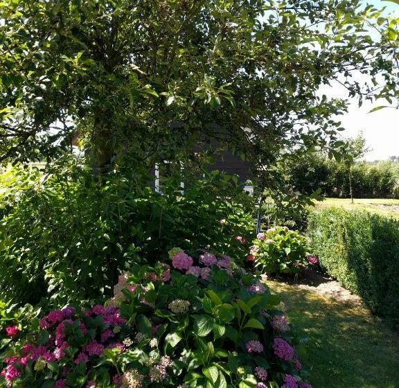 B&b Agnetenhoeve