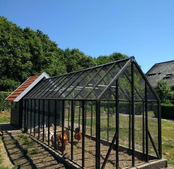 B&b Agnetenhoeve