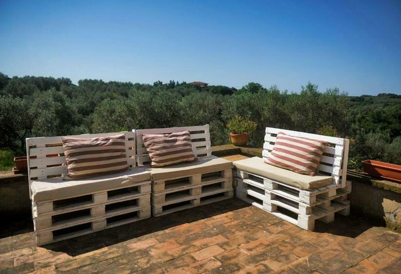 B&b Vallecupa