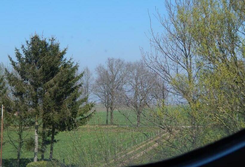 ベッドアンドブレックファースト Tintaglia, Betaalbaar En Gastvrij