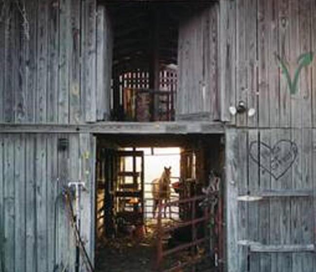 هتل Kokomo Farms