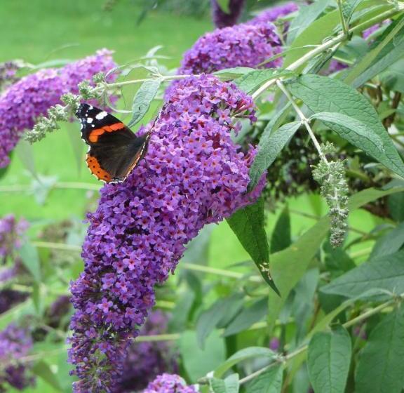 פנסיון Villa Auszeit