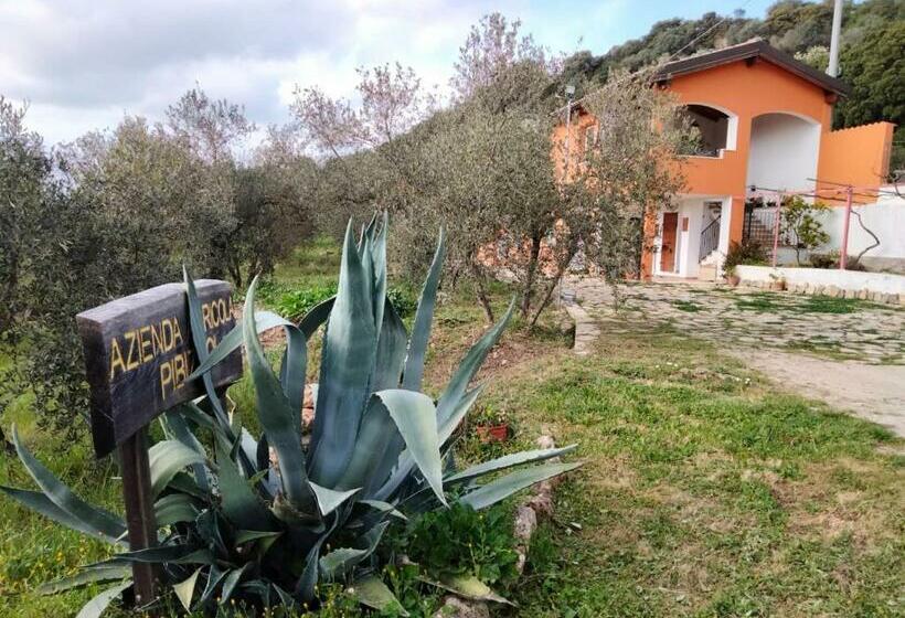 B&b Pibitzoi