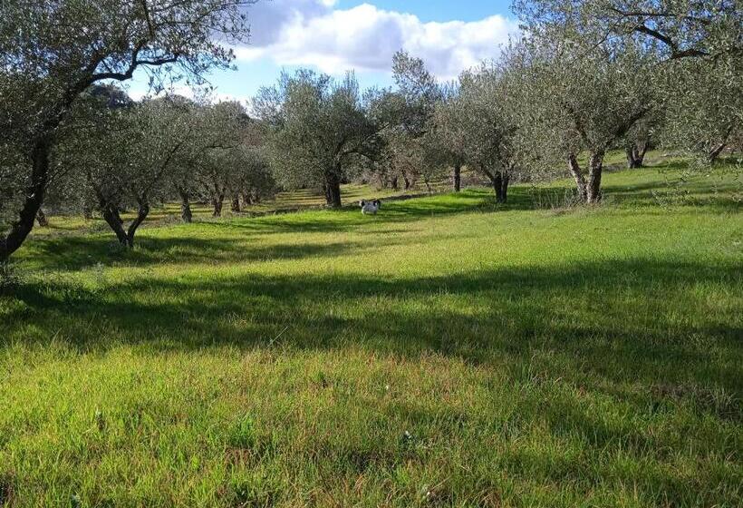 B&b Pibitzoi