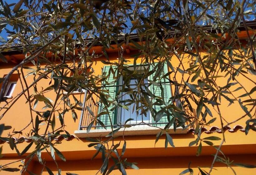 B&b Pibitzoi